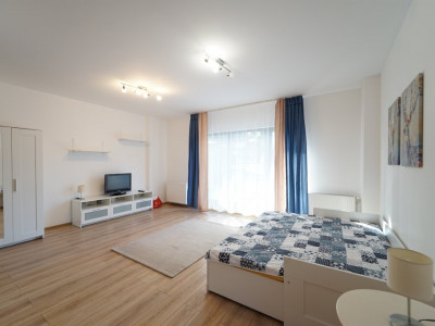 Apartament cu 1 camera si terasa de 25 mp,Zona Iulius Mall,str Soporului